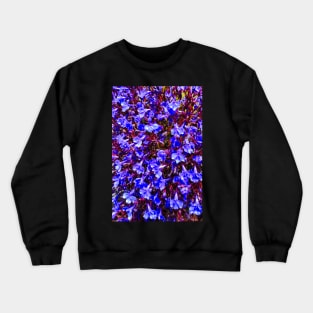 SF Bay Lobelia Crewneck Sweatshirt